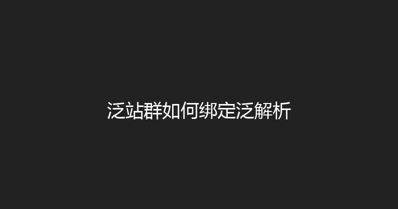 泛站群如何绑定泛解析 封面图