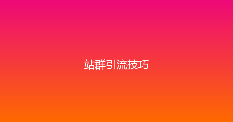 站群引流技巧 封面图