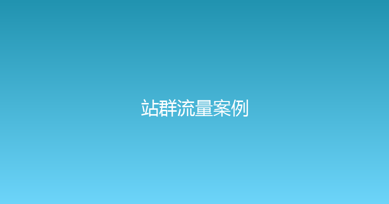 站群流量案例 封面图