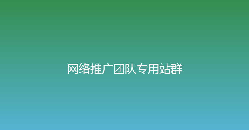 网络推广团队专用站群 封面图