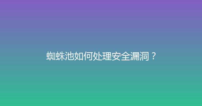 蜘蛛池如何处理安全漏洞？ 封面图